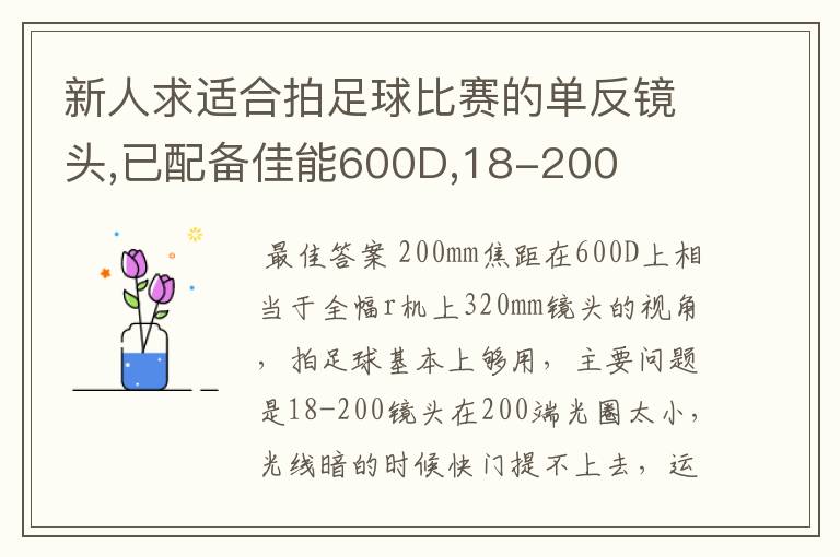 新人求适合拍足球比赛的单反镜头,已配备佳能600D,18-200