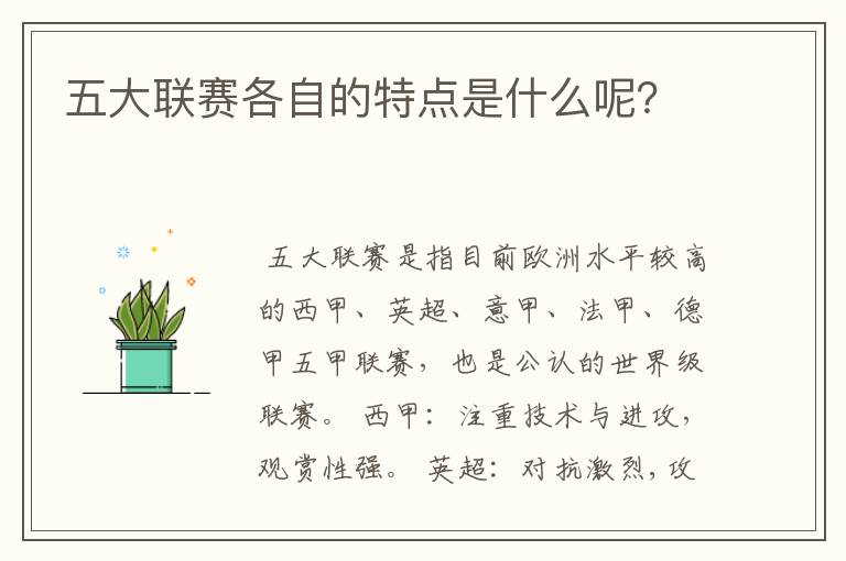 五大联赛各自的特点是什么呢？