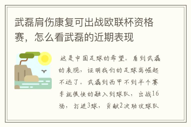 武磊肩伤康复可出战欧联杯资格赛，怎么看武磊的近期表现