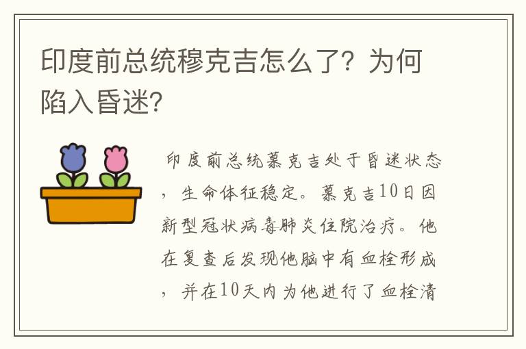 印度前总统穆克吉怎么了？为何陷入昏迷？