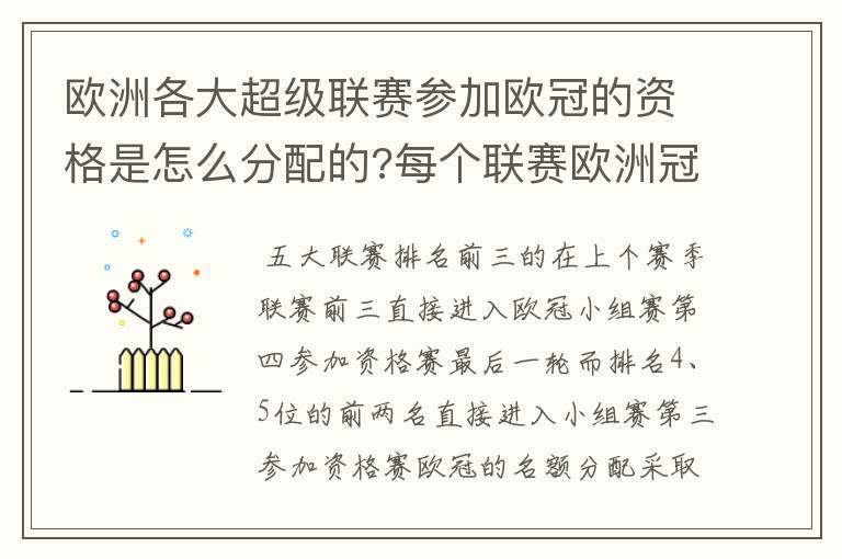 欧洲各大超级联赛参加欧冠的资格是怎么分配的?每个联赛欧洲冠军杯参赛队