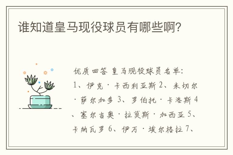 谁知道皇马现役球员有哪些啊？