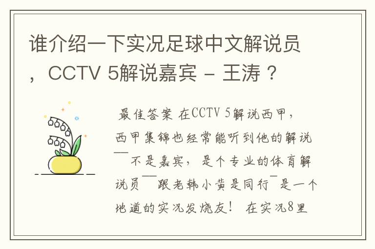 谁介绍一下实况足球中文解说员，CCTV 5解说嘉宾 - 王涛 ？