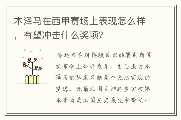 本泽马在西甲赛场上表现怎么样，有望冲击什么奖项？