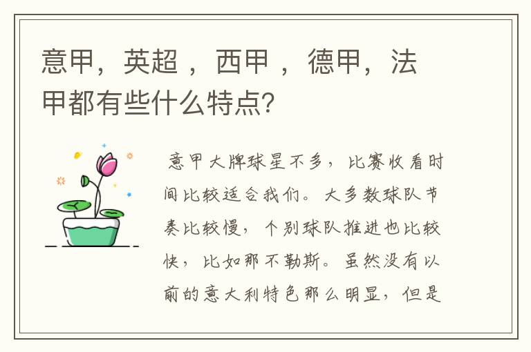 意甲，英超 ，西甲 ，德甲，法甲都有些什么特点？