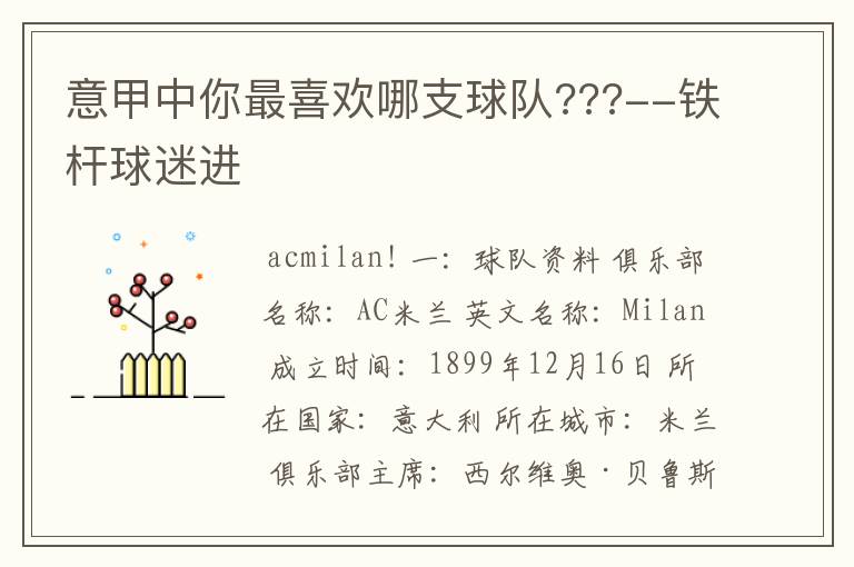 意甲中你最喜欢哪支球队???--铁杆球迷进