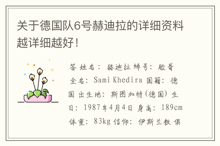 关于德国队6号赫迪拉的详细资料越详细越好！