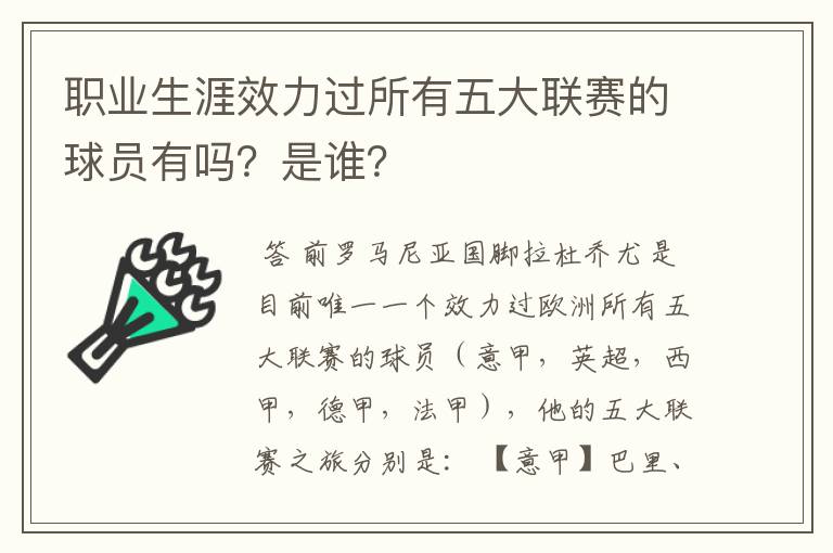 职业生涯效力过所有五大联赛的球员有吗？是谁？