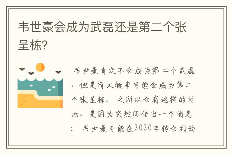 韦世豪会成为武磊还是第二个张呈栋？