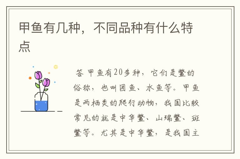 甲鱼有几种，不同品种有什么特点