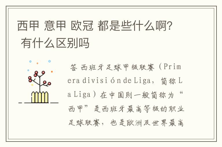 西甲 意甲 欧冠 都是些什么啊？ 有什么区别吗