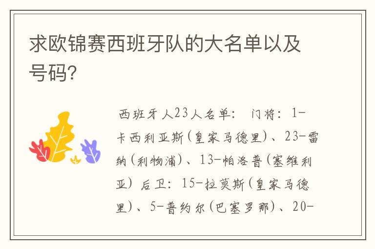 求欧锦赛西班牙队的大名单以及号码？