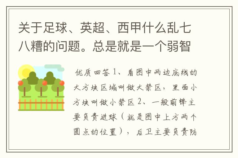 关于足球、英超、西甲什么乱七八糟的问题。总是就是一个弱智新手的N问。