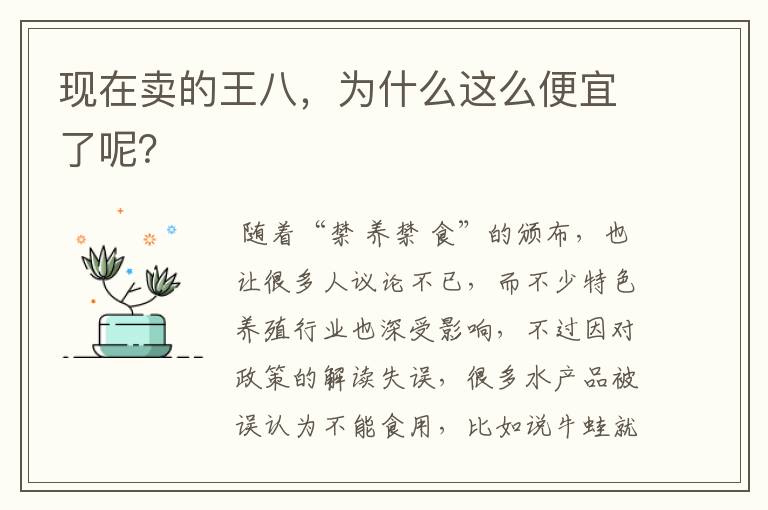 现在卖的王八，为什么这么便宜了呢？