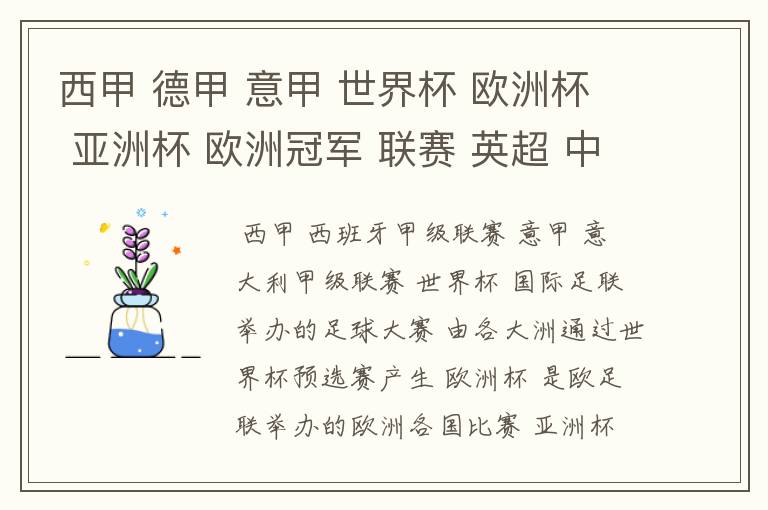 西甲 德甲 意甲 世界杯 欧洲杯 亚洲杯 欧洲冠军 联赛 英超 中超  分别是什么意思啊？