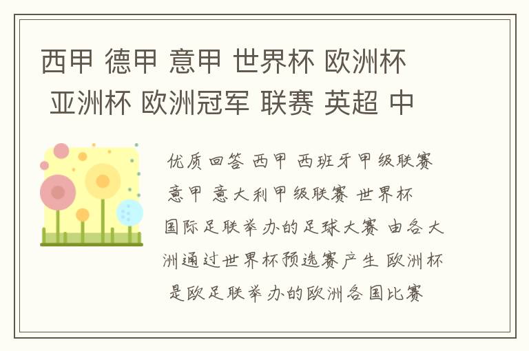 西甲 德甲 意甲 世界杯 欧洲杯 亚洲杯 欧洲冠军 联赛 英超 中超  分别是什么意思啊？