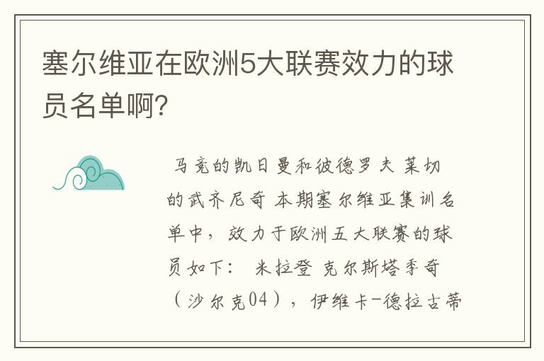 塞尔维亚在欧洲5大联赛效力的球员名单啊？