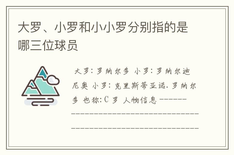 大罗、小罗和小小罗分别指的是哪三位球员