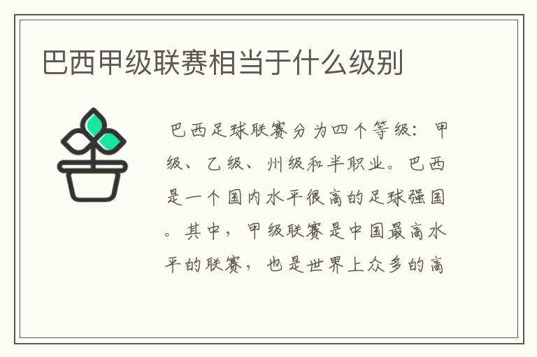 巴西甲级联赛相当于什么级别