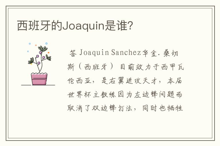 西班牙的Joaquin是谁？