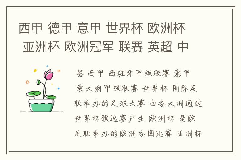 西甲 德甲 意甲 世界杯 欧洲杯 亚洲杯 欧洲冠军 联赛 英超 中超  分别是什么意思啊？