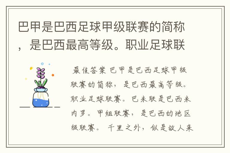 巴甲是巴西足球甲级联赛的简称，是巴西最高等级。职业足球联赛。巴米联是巴西米内罗。甲组联赛。