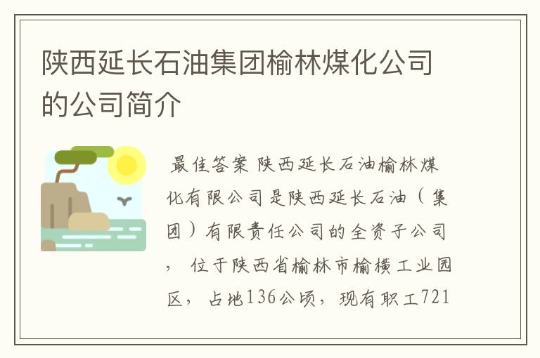 陕西延长石油集团榆林煤化公司的公司简介