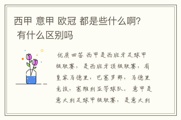 西甲 意甲 欧冠 都是些什么啊？ 有什么区别吗