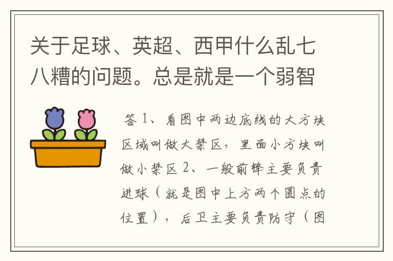 关于足球、英超、西甲什么乱七八糟的问题。总是就是一个弱智新手的N问。