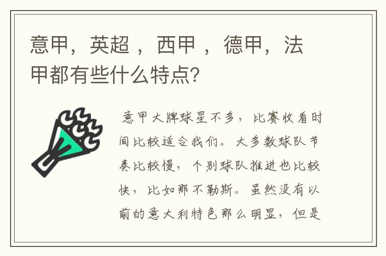 意甲，英超 ，西甲 ，德甲，法甲都有些什么特点？