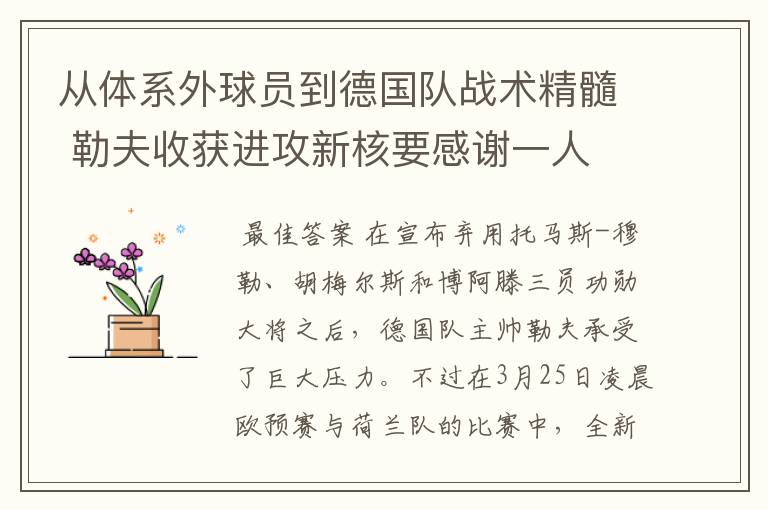 从体系外球员到德国队战术精髓 勒夫收获进攻新核要感谢一人