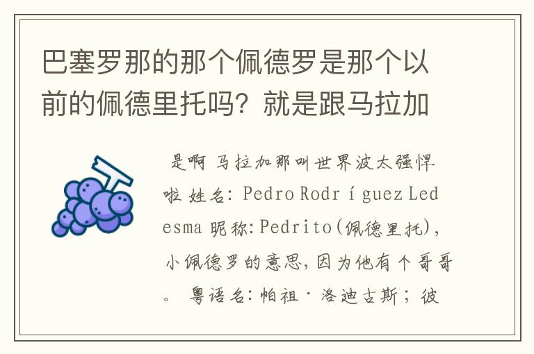 巴塞罗那的那个佩德罗是那个以前的佩德里托吗？就是跟马拉加进球的那个！？