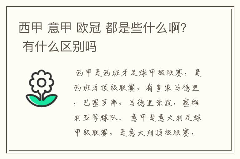 西甲 意甲 欧冠 都是些什么啊？ 有什么区别吗