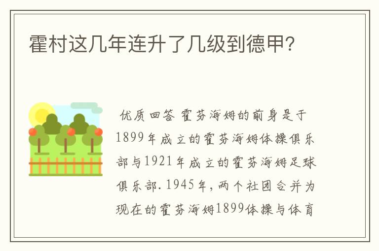 霍村这几年连升了几级到德甲？