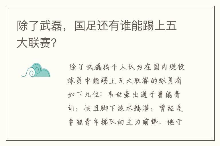 除了武磊，国足还有谁能踢上五大联赛？