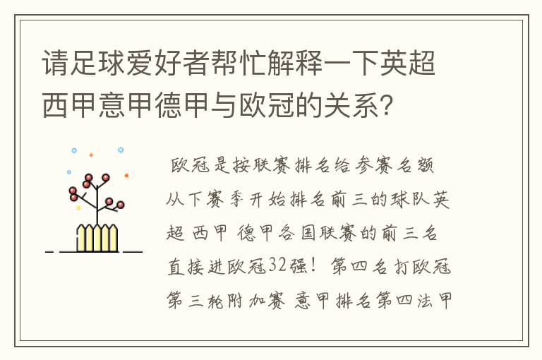 请足球爱好者帮忙解释一下英超西甲意甲德甲与欧冠的关系？