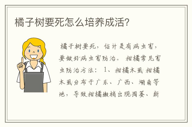 橘子树要死怎么培养成活？