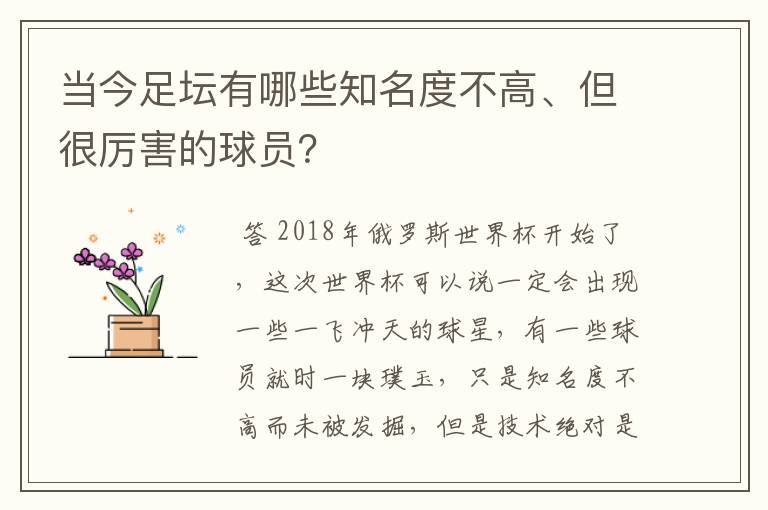 当今足坛有哪些知名度不高、但很厉害的球员？