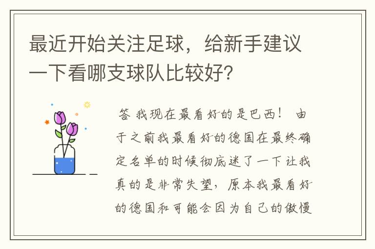 最近开始关注足球，给新手建议一下看哪支球队比较好？