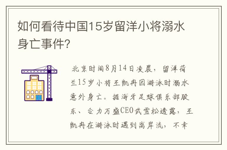 如何看待中国15岁留洋小将溺水身亡事件？