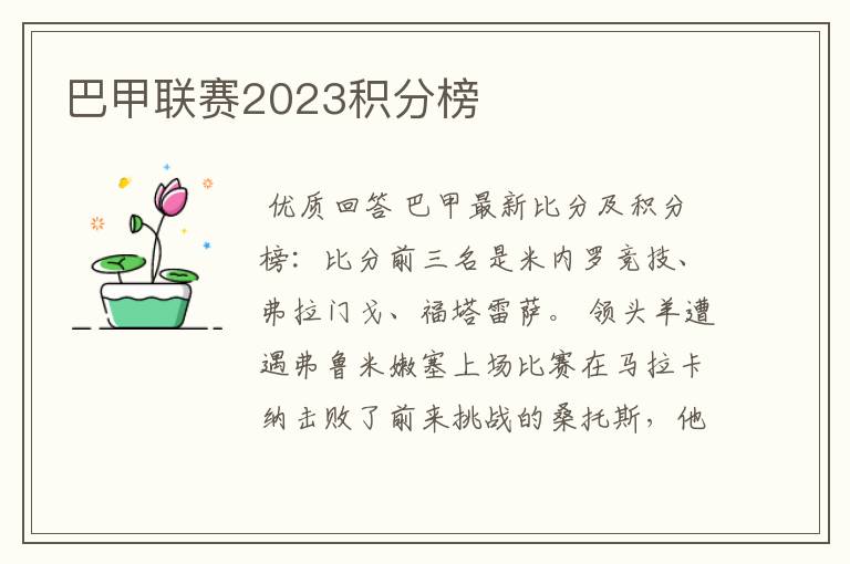 巴甲联赛2023积分榜