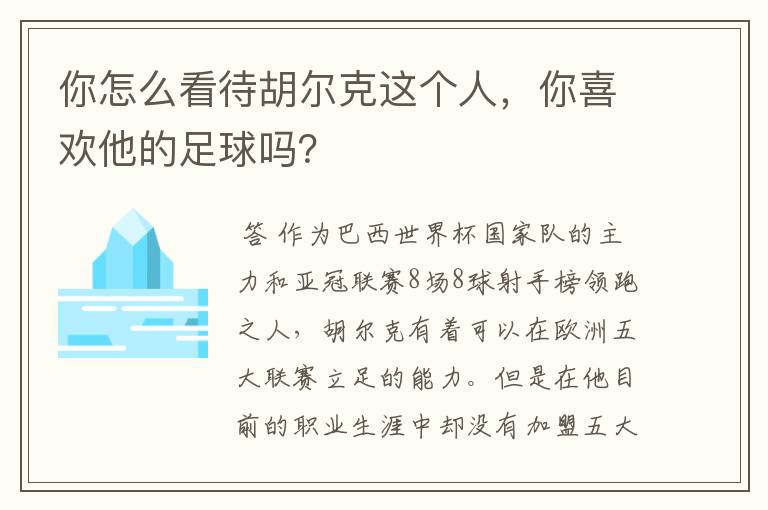 你怎么看待胡尔克这个人，你喜欢他的足球吗？