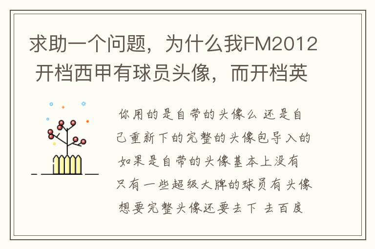 求助一个问题，为什么我FM2012 开档西甲有球员头像，而开档英超没有球员头像？求大虾解释。