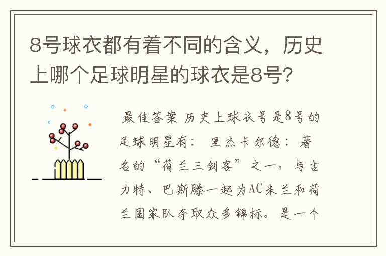 8号球衣都有着不同的含义，历史上哪个足球明星的球衣是8号？