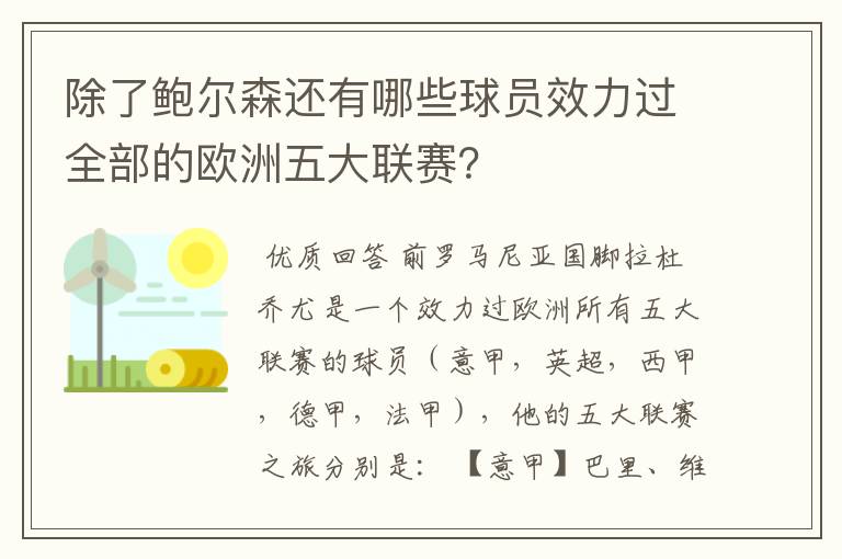 除了鲍尔森还有哪些球员效力过全部的欧洲五大联赛？