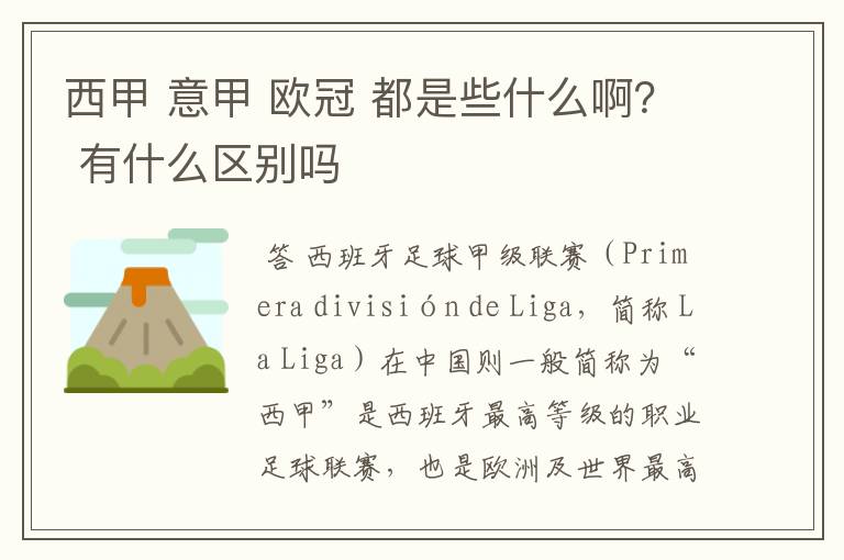 西甲 意甲 欧冠 都是些什么啊？ 有什么区别吗