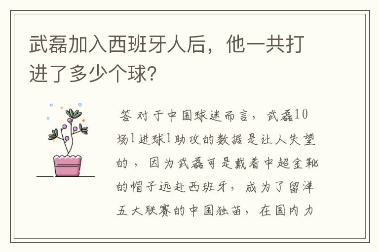 武磊加入西班牙人后，他一共打进了多少个球？