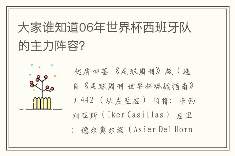 大家谁知道06年世界杯西班牙队的主力阵容？