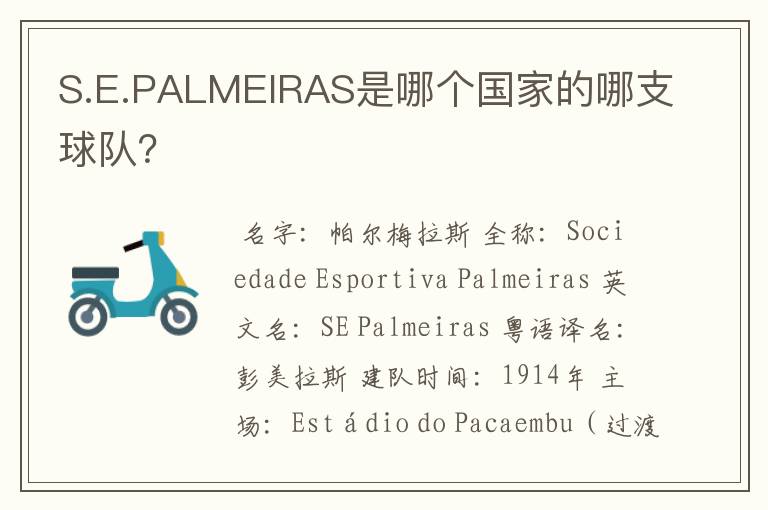 S.E.PALMEIRAS是哪个国家的哪支球队？