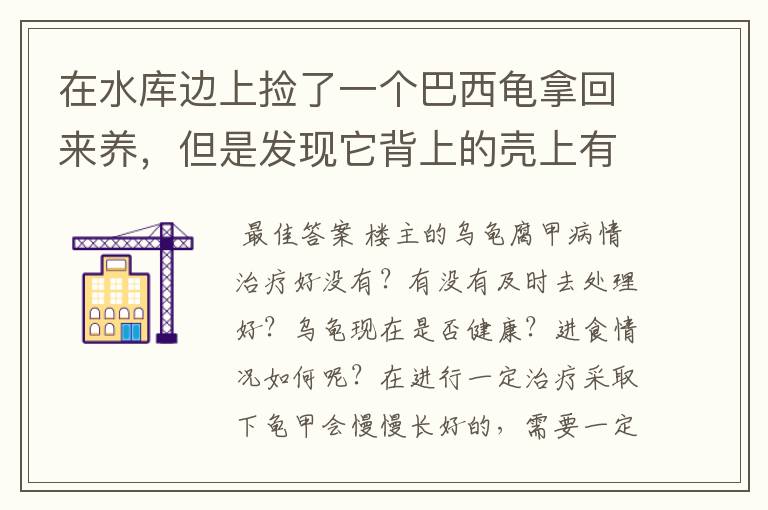 在水库边上捡了一个巴西龟拿回来养，但是发现它背上的壳上有一个个的白点，白点中间是洞，就跟人的脚气一